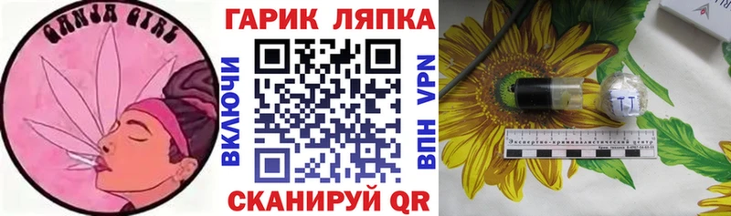 Купить  Облучье  ГАШ Изолятор 