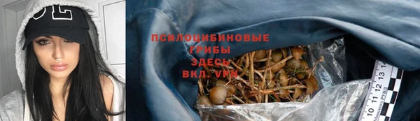 прущие крисы Медвежьегорск