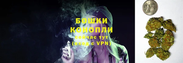 прущие крисы Медвежьегорск