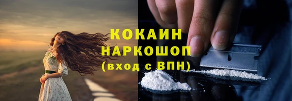 прущие крисы Медвежьегорск