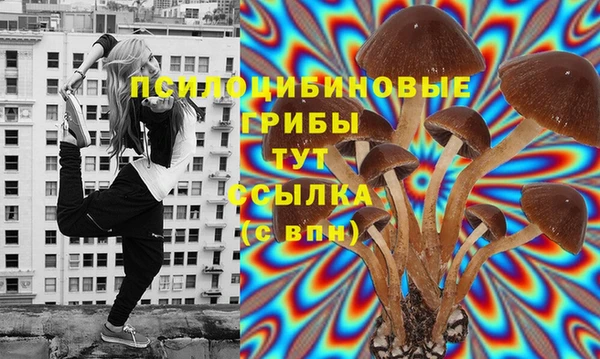 прущие крисы Медвежьегорск