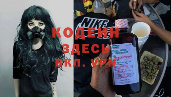 прущие крисы Медвежьегорск