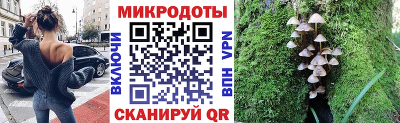 Галлюциногенные грибы ЛСД  Купить где  Облучье 